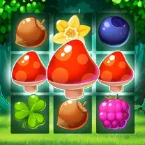 Gra Forest Match