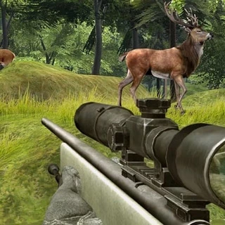 Odpalaj Hity Bez Kosztów i Rejestracji! Gra 456 Sniper Challenge